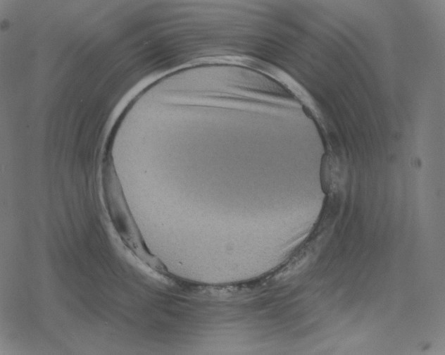 X0000078280955200612011741