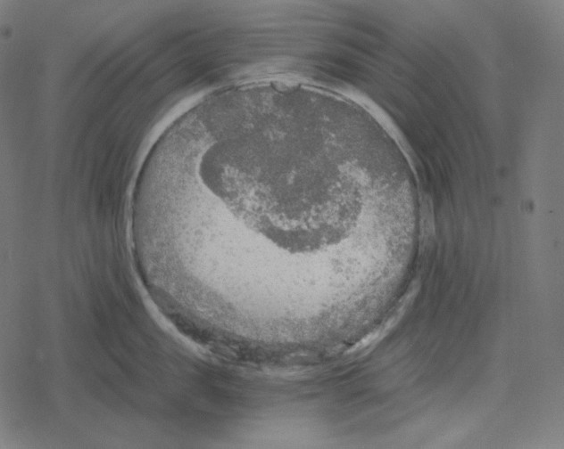 X0000078280957200612011741