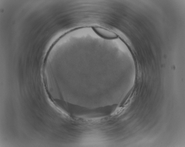 X0000078280958200612011741