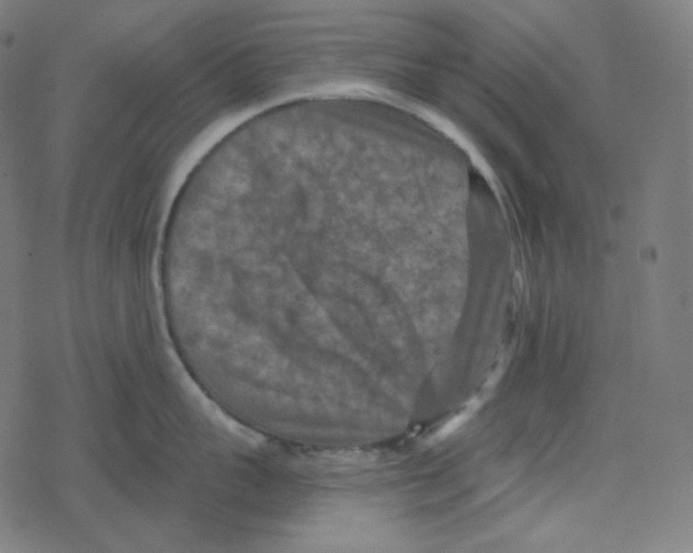 X0000078280959200612011741