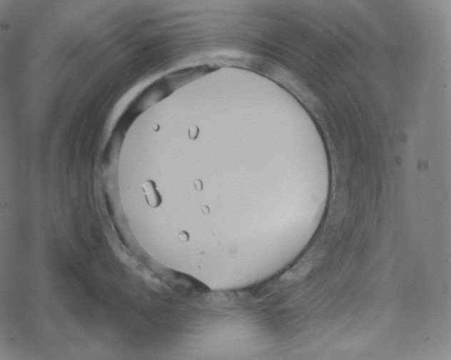 X0000078280960200612011741