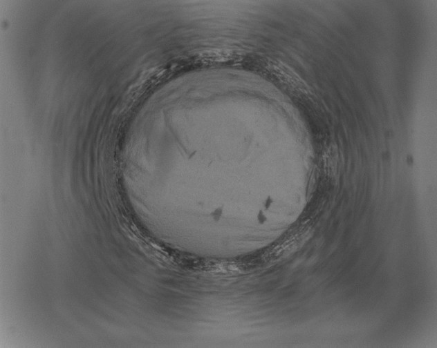 X0000078280961200612011740