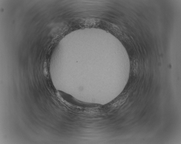 X0000078280962200612011740