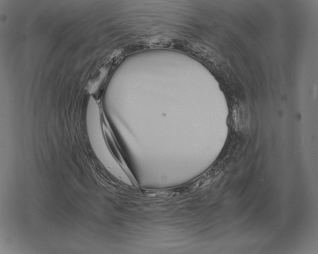 X0000078280963200612011740