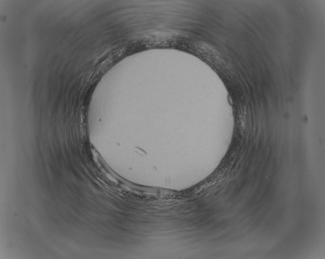 X0000078280964200612011740