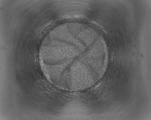 X0000078280966200612011740