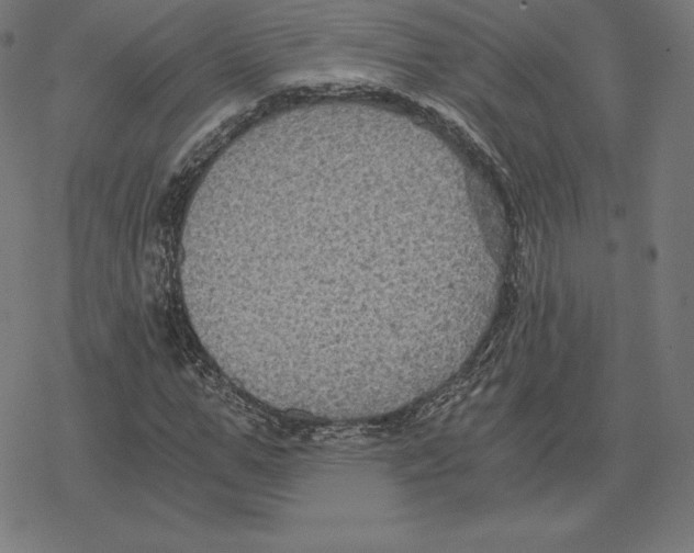 X0000078280967200612011740