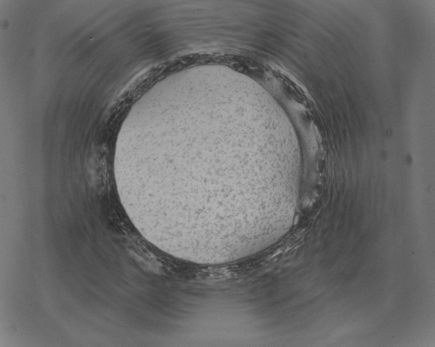 X0000078280968200612011740