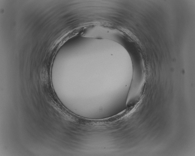 X0000078280969200612011740