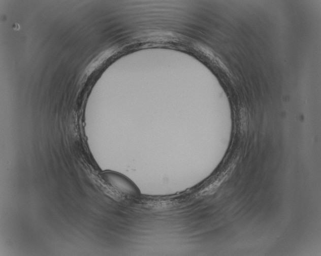 X0000078280970200612011740