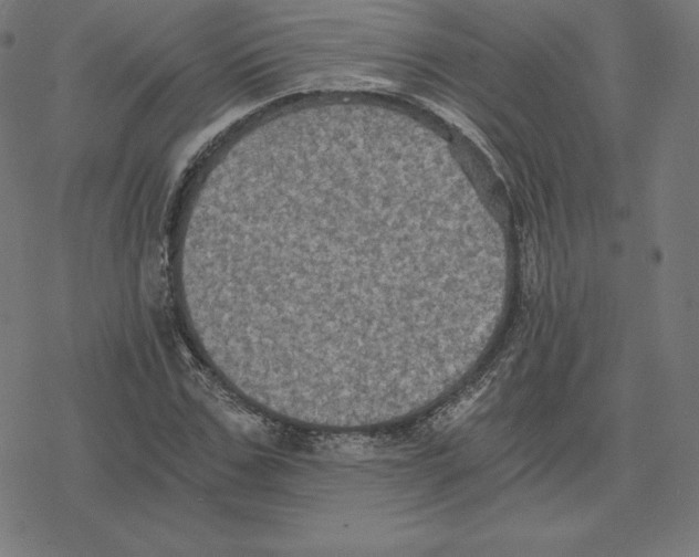 X0000078280971200612011740