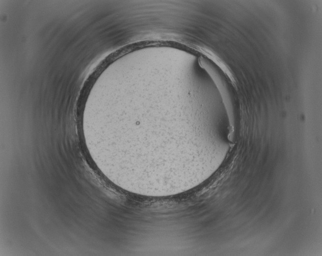 X0000078280972200612011740