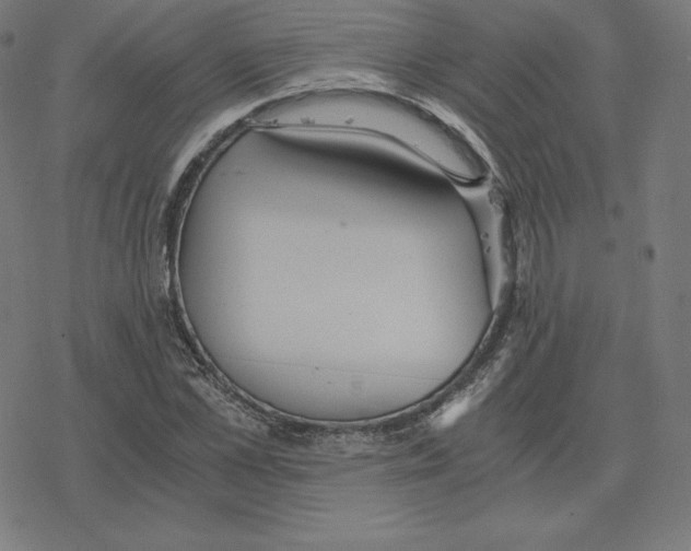 X0000078280973200612011740