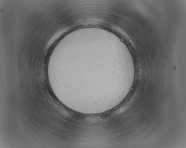 X0000078280978200612011740