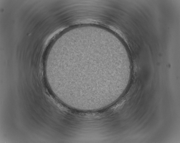 X0000078280979200612011740