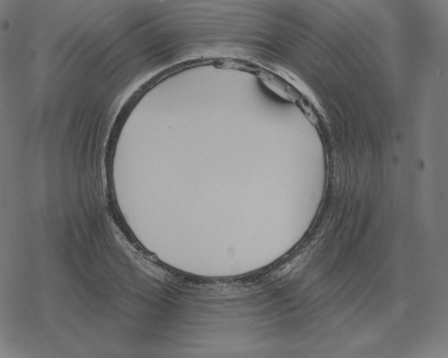 X0000078280980200612011740