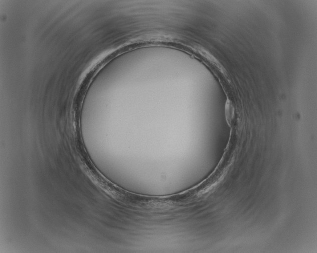 X0000078280981200612011740