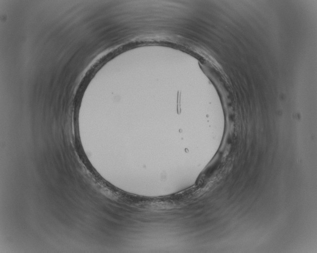 X0000078280984200612011740