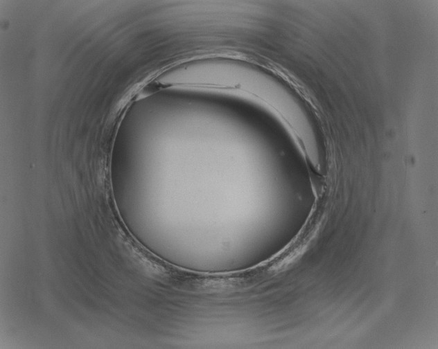 X0000078280985200612011740