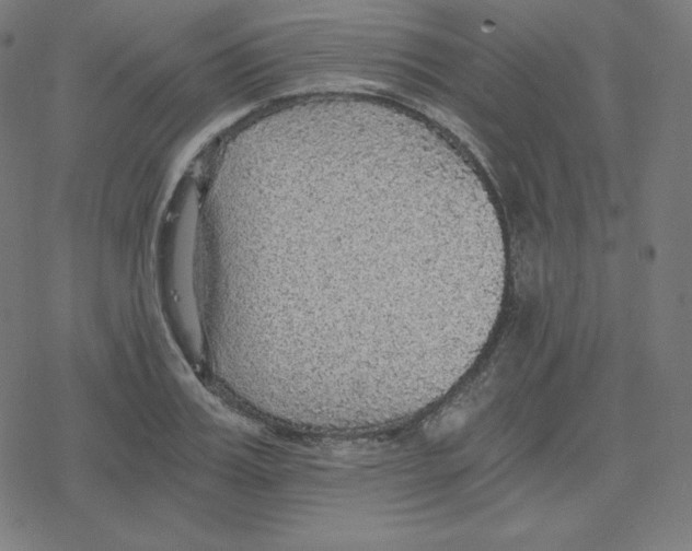 X0000078280987200612011740