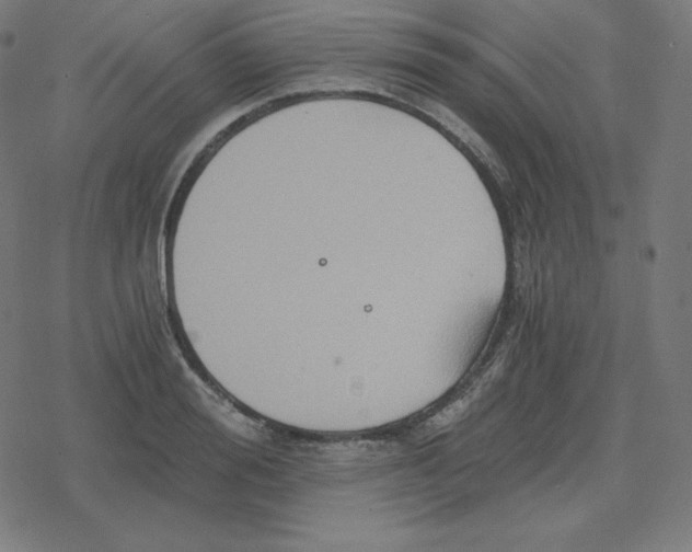 X0000078280988200612011740