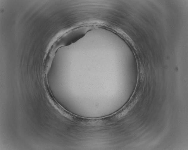 X0000078280989200612011740