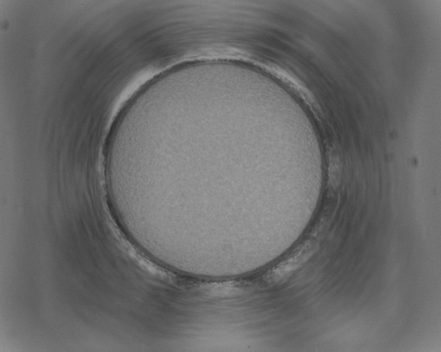 X0000078280990200612011740