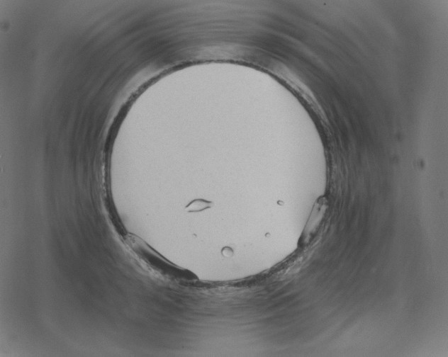 X0000078280992200612011740