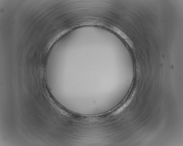 X0000078280993200612011740