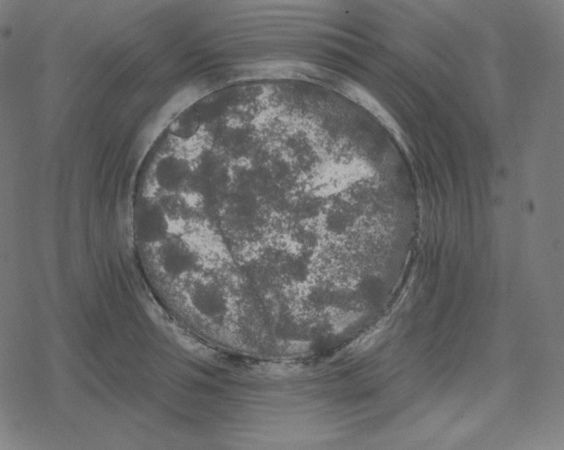 X0000078280994200612011740