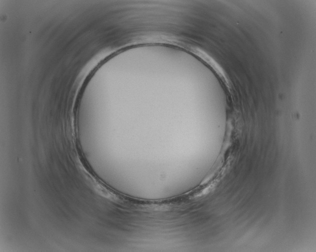 X0000078280996200612011740