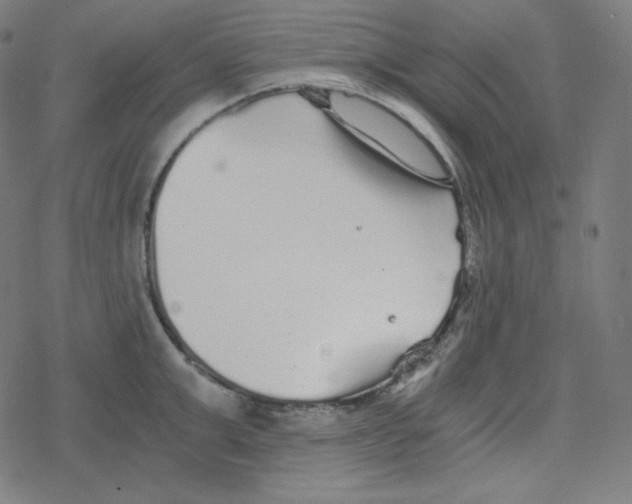 X0000078280999200612011740