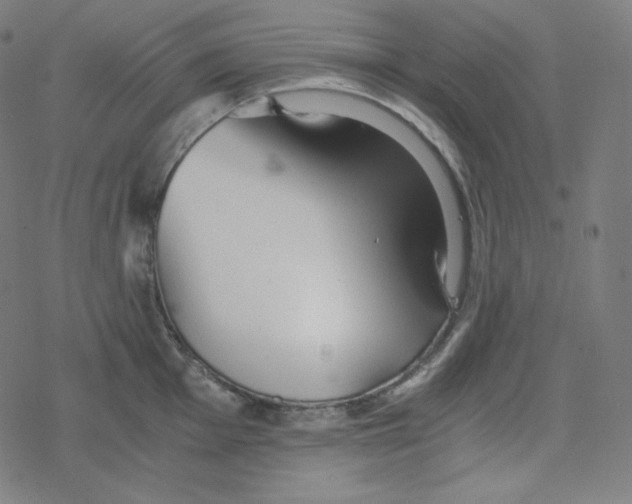 X0000078281001200612011739