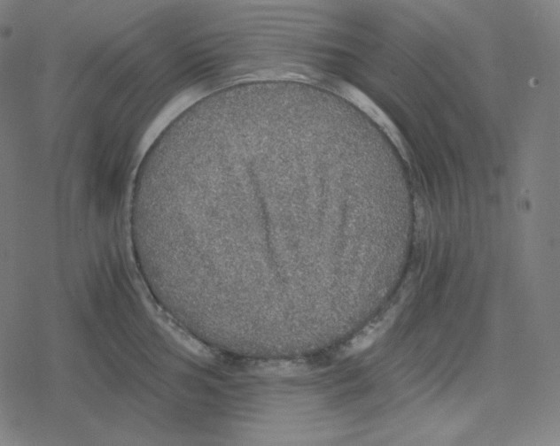 X0000078281002200612011739