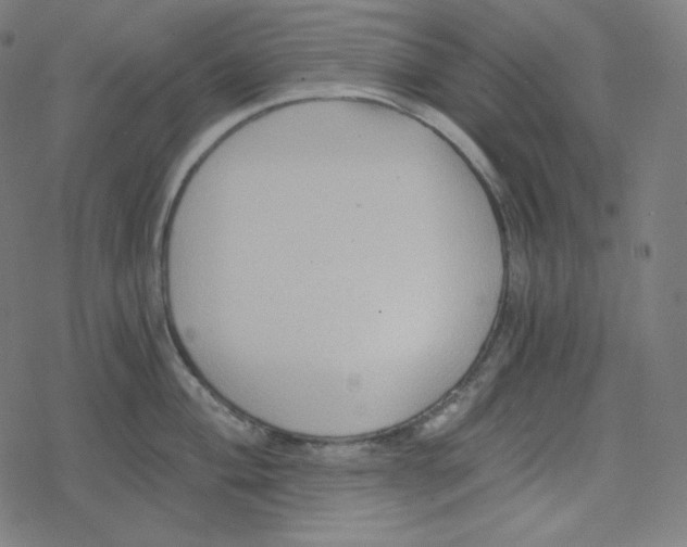 X0000078281004200612011739