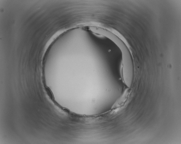 X0000078281005200612011739