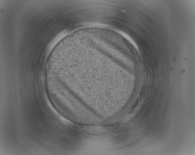 X0000078281007200612011739