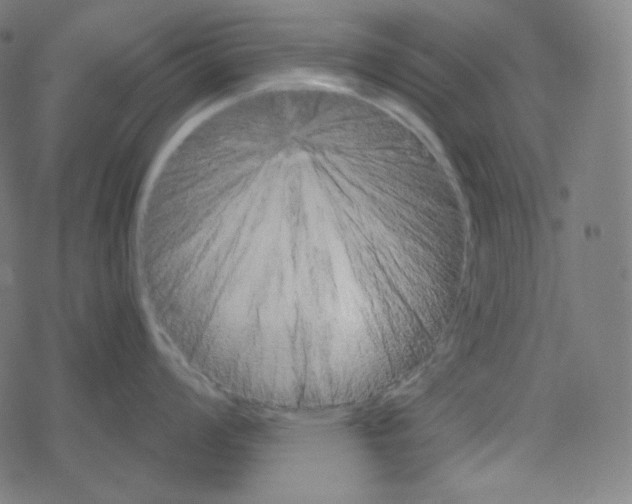 X0000078281008200612011739