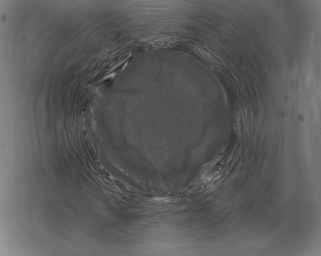 X0000078281010200612011739