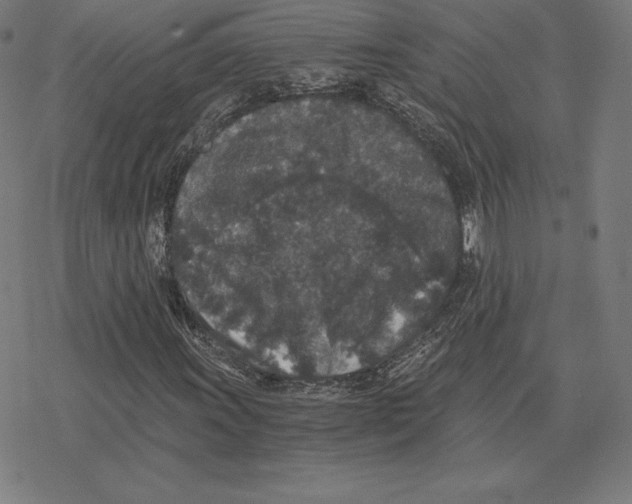 X0000078281011200612011739