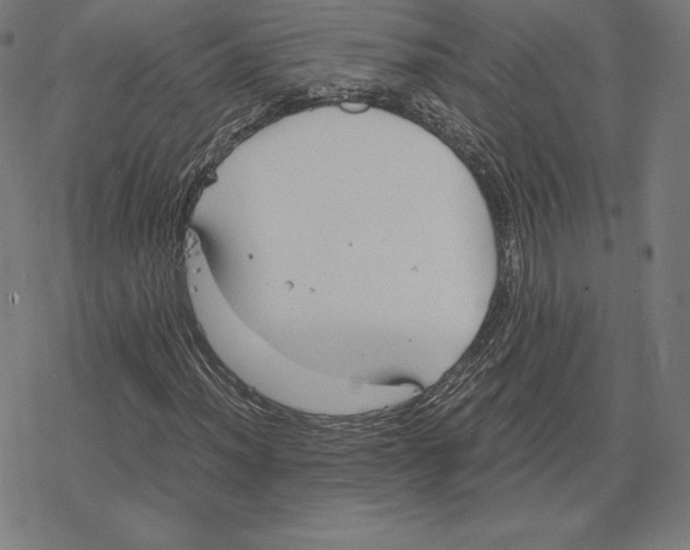 X0000078281012200612011739