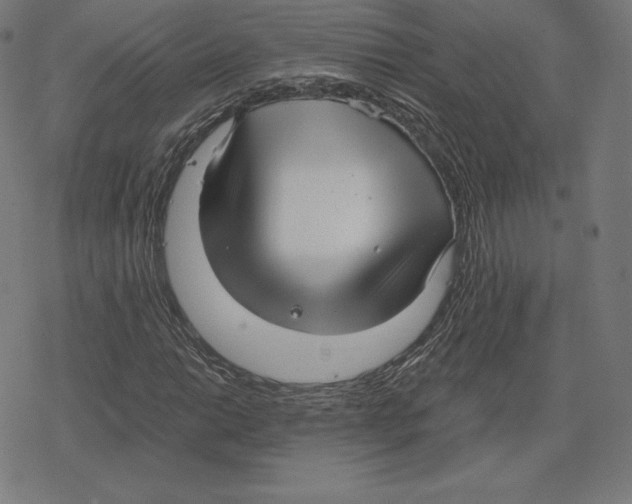 X0000078281014200612011739