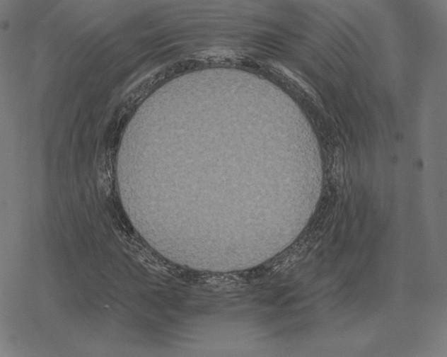 X0000078281015200612011739