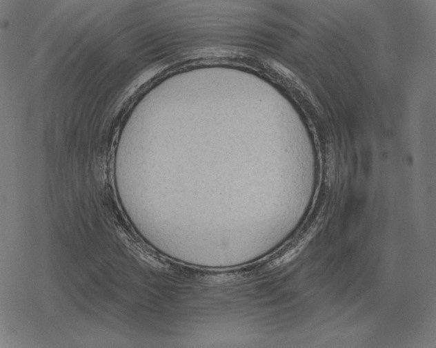 X0000078281017200612011739