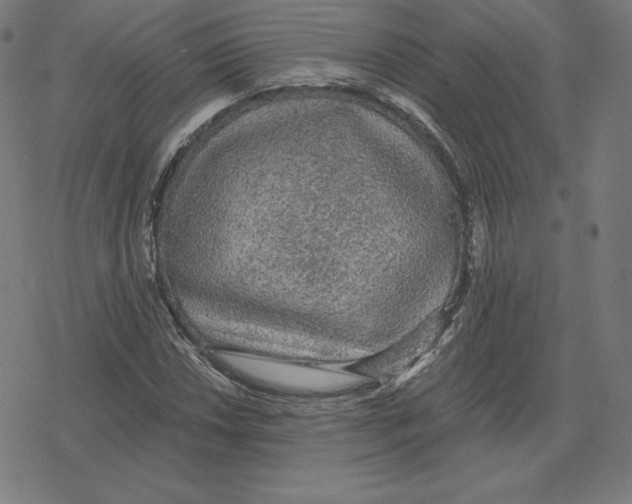 X0000078281018200612011739