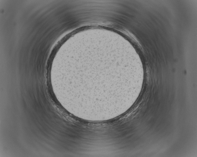 X0000078281020200612011739