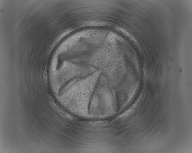 X0000078281025200612011739