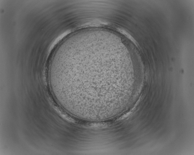 X0000078281026200612011739