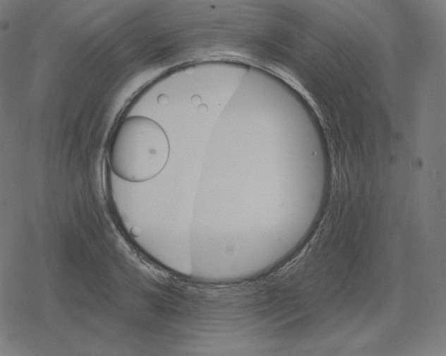 X0000078281032200612011739