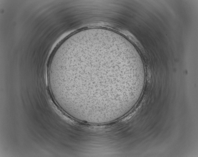 X0000078281036200612011739